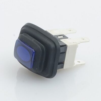 DFR004 INTERRUTTORE BIPOLARE 16A 4 CONTATTI PER MACCHINA DIDIESSE FROG - BLU PER FUNZIONE VAPORE