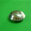SMEG ANELLO INOX+PIATTELLO INOX AX DIAMETRO 45 MM 882410088  061050794