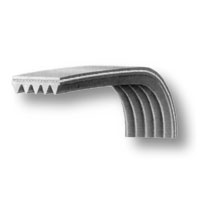 04AG504 00126325  CINGHIA 1930 H7 POLY-V ELECTROLUX AEG (8996470700601), BLOMBERG (514240) albero altezza mm. 1,60, Sviluppo mm. 1930, N.ro denti 7, Passo mm. 3 40001012 481281728437 BLH750UN 116LG289