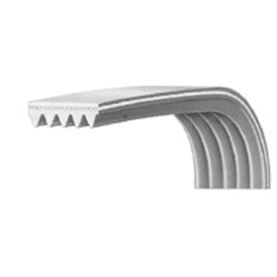 WN554 CINGHIA PER LAVATRICE SAMSUNG 1264 J5 anche 1270 J5 92602127 ARISTON 027206 WHIRLPOOL 481935810049- 481281728272 72127800 6602-001497 - 6602-003939