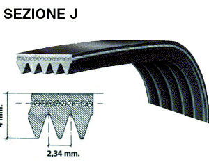 CINGHIA RIGATA 1197 J5 481281718147 36060900 C00375262
