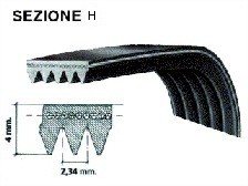 482000027608 C00083910 CINGHIA ELASTICA RIGATA 1213 H8 BLH305UN HUTCHINSON