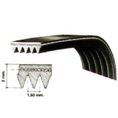 CINGHIA RIGATA 1215 8H 8EPH 751610077 WN778 72121500